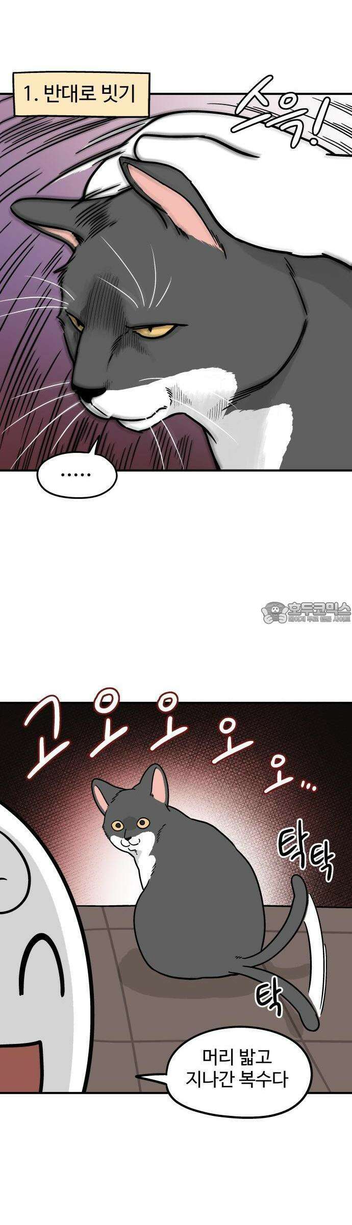 노곤하개 쇼츠 고양이는 예민해 6