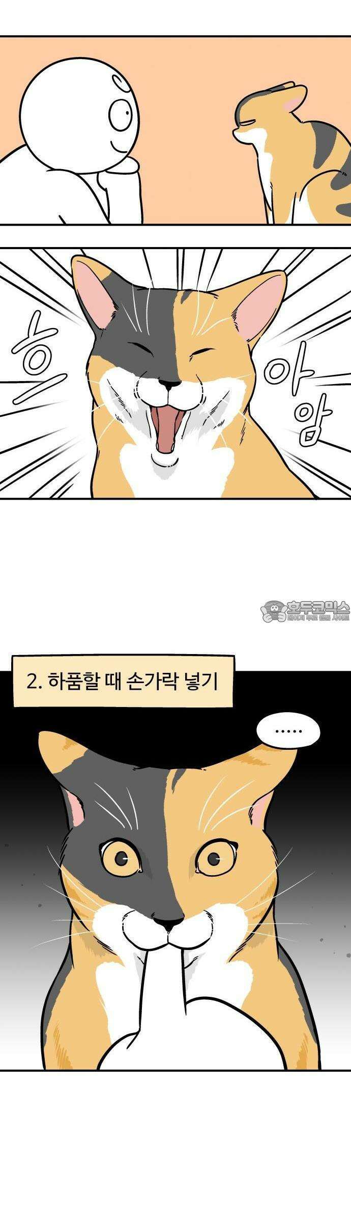 노곤하개 쇼츠 고양이는 예민해 7