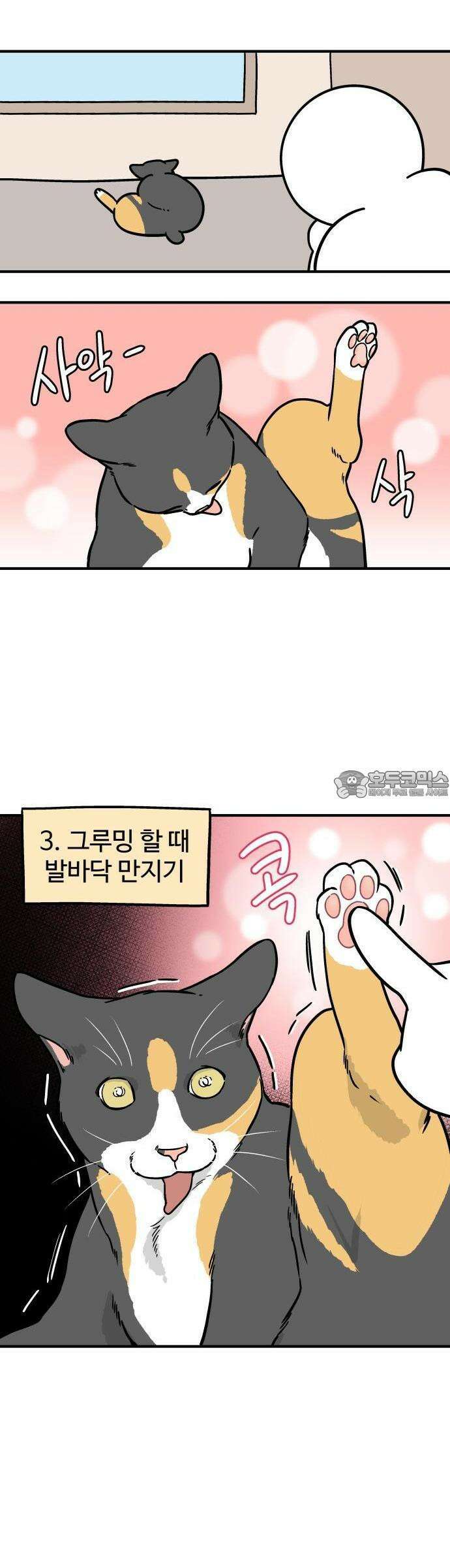 노곤하개 쇼츠 고양이는 예민해 8