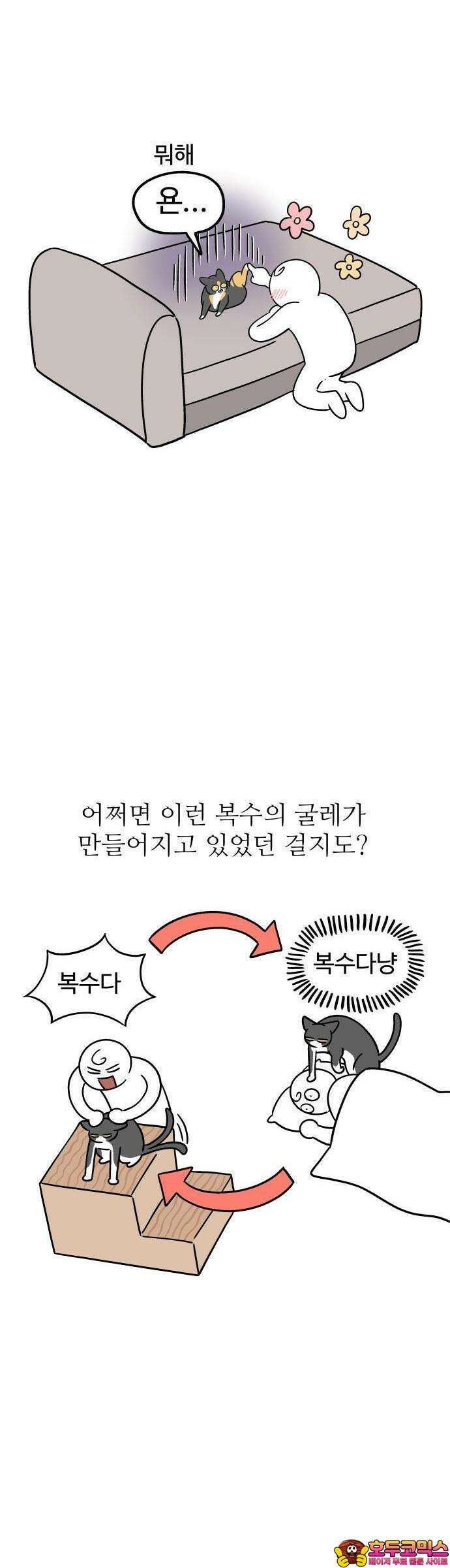 노곤하개 쇼츠 고양이는 예민해 9
