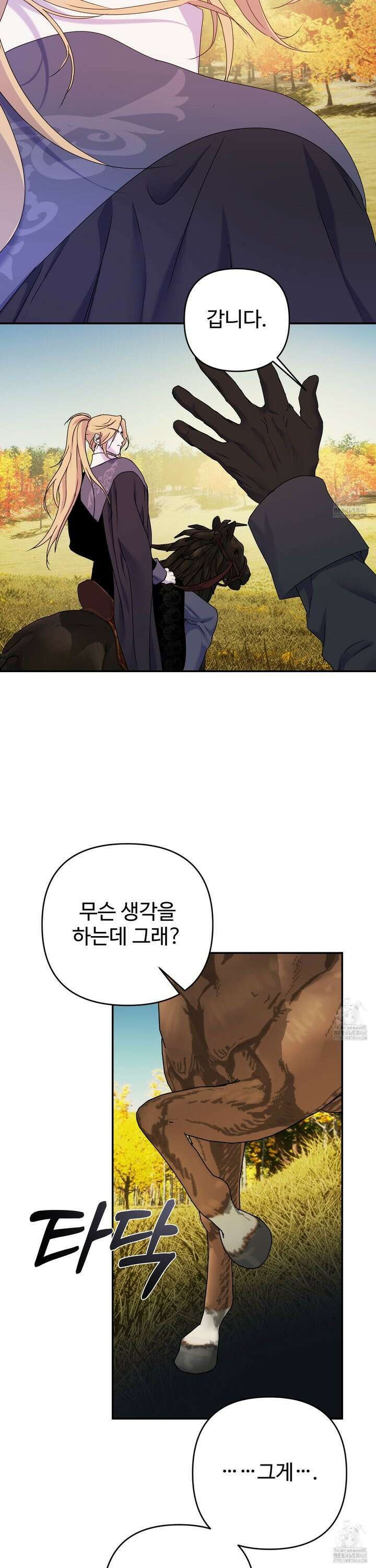 알로샤의 꽃 29화 11