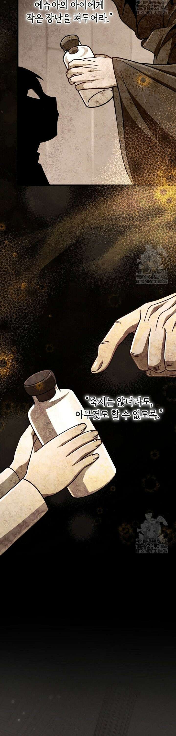 이 나라를 없앨 예정인데요 13화 5