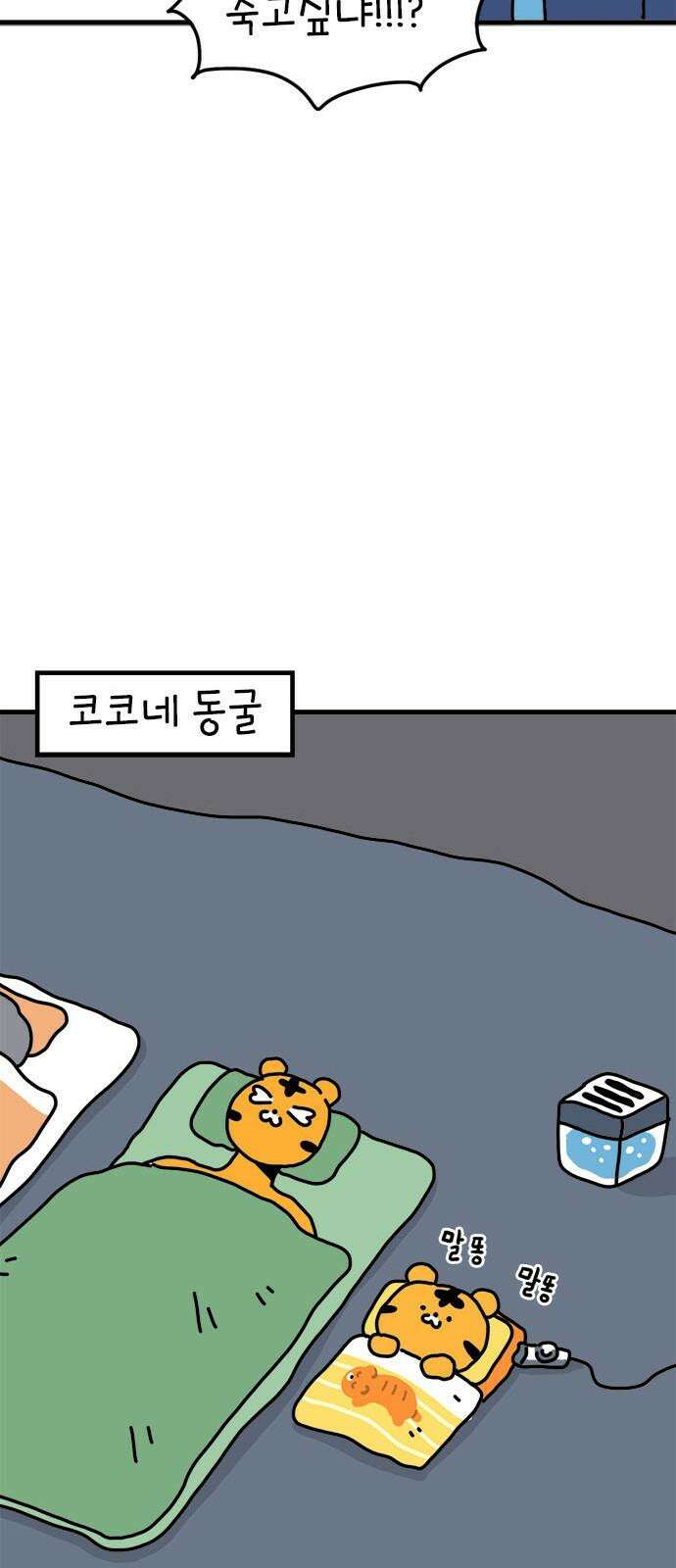 소심한 호랭이 코코 36화 녹지 않는 눈사람 (2) 완 8