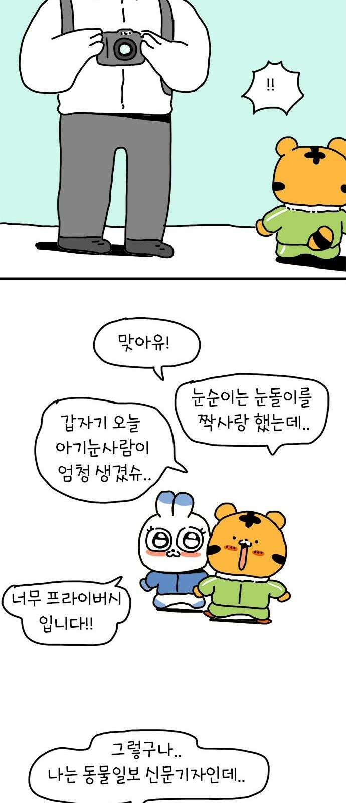 소심한 호랭이 코코 36화 녹지 않는 눈사람 (2) 완 22