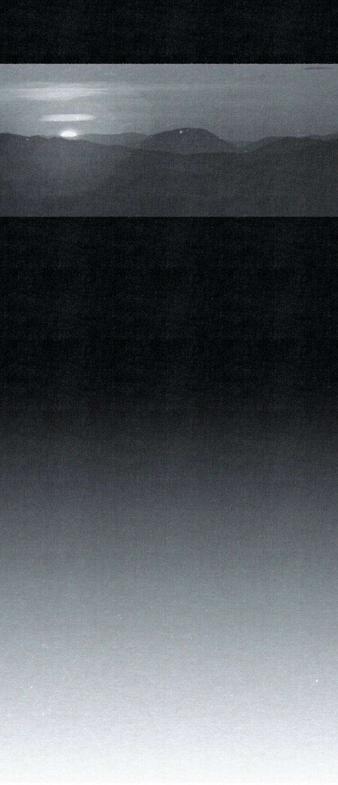 벌집 61화 41