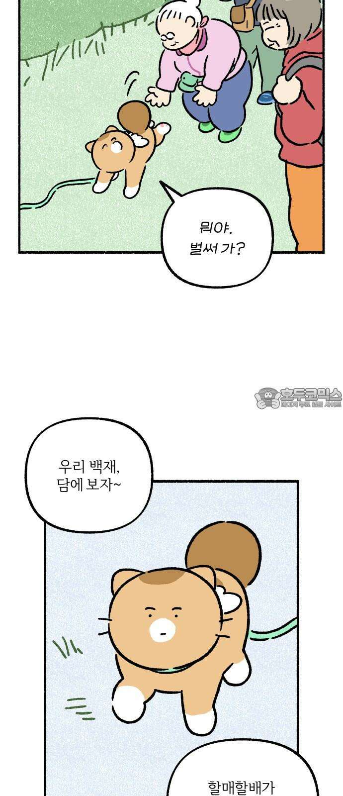 천재, 만재, 백재! 7화 약수터 셀럽냥 48