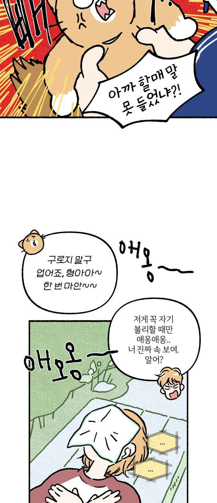 천재, 만재, 백재! 7화 약수터 셀럽냥 55