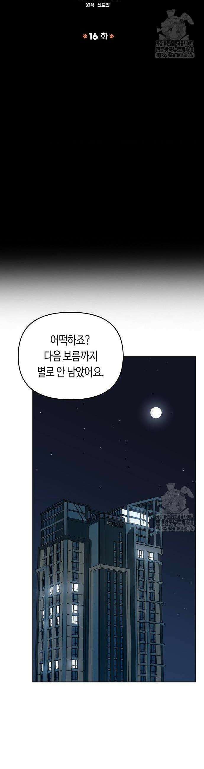 대표님의 개가 되겠습니다 16화 4