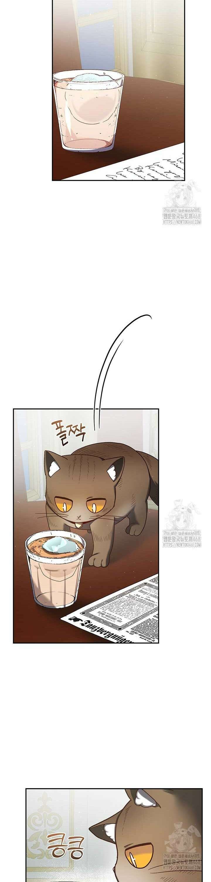 한 줄짜리 영애였을 터 221화 9