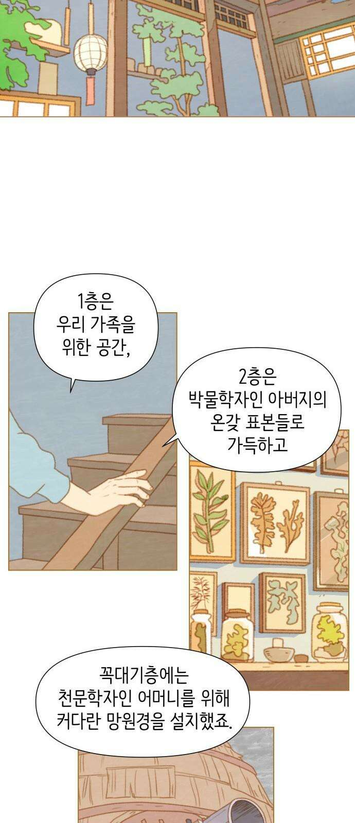 율리 2부 42. 동십자성의 집 5