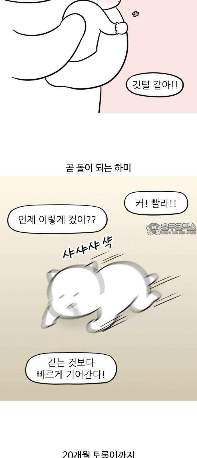 신혼일기 131화 세 가족의 공동육아 3