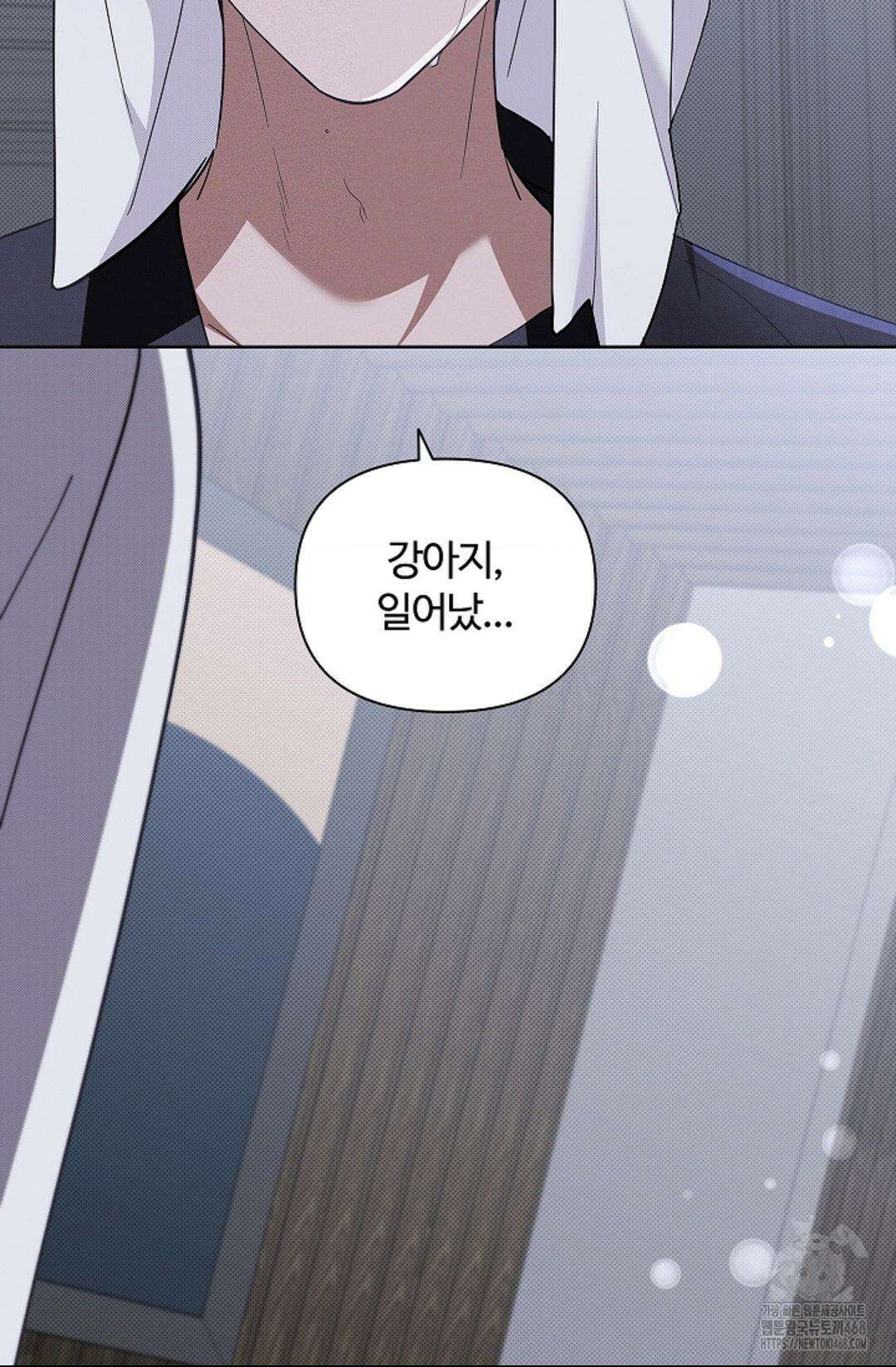 강아지는 건드리지 마라 31화 17