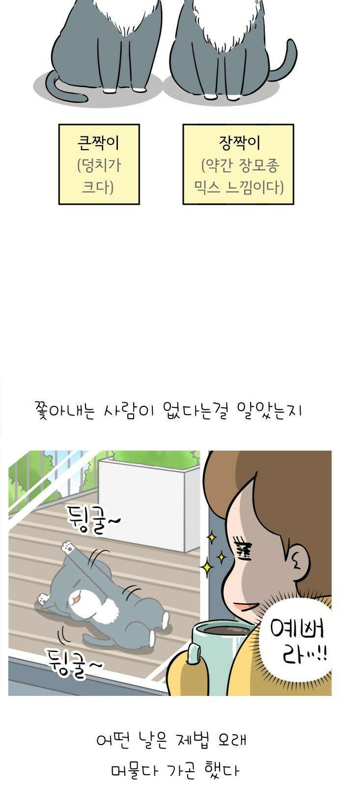 낢이 사는 이야기 - 계속되는 미미한 인생 39화 짝맹이들 2