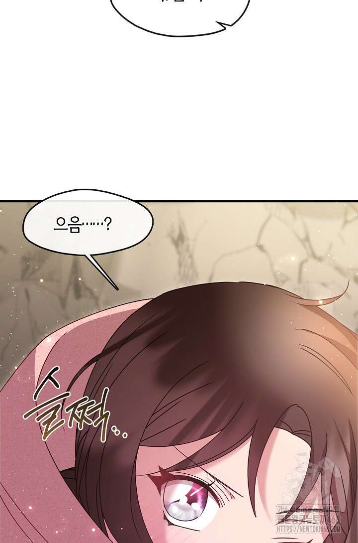 무림최강 남궁세가 막내딸입니다 41화 85