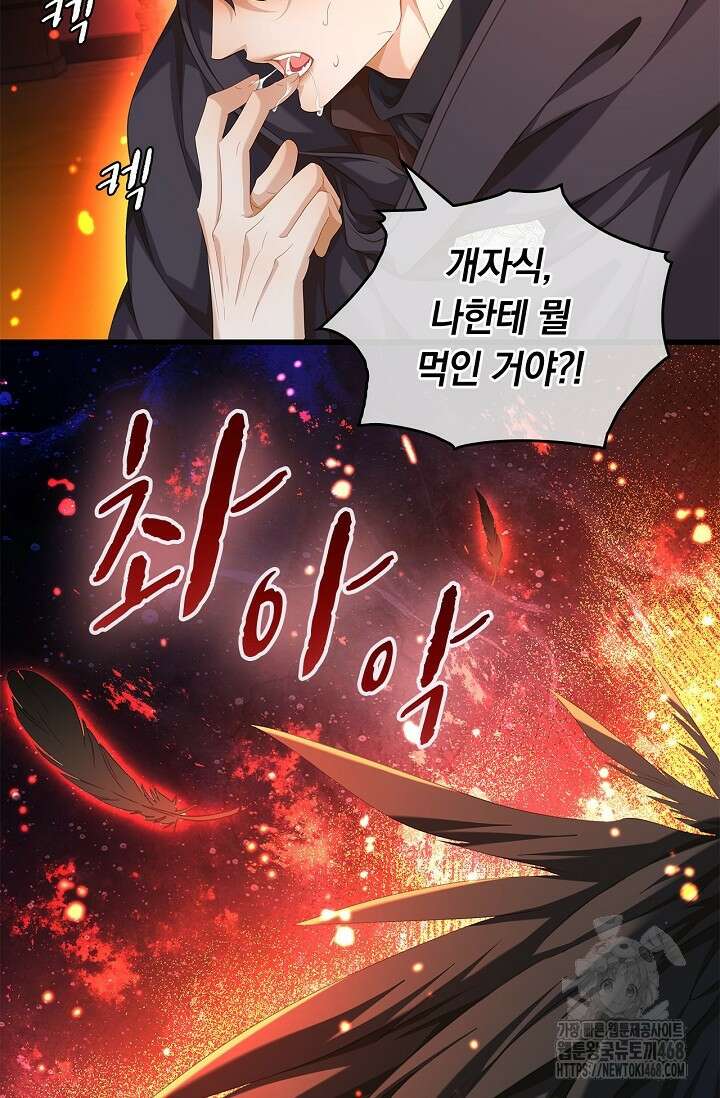 황태자의 용으로 태어났다 48화 4