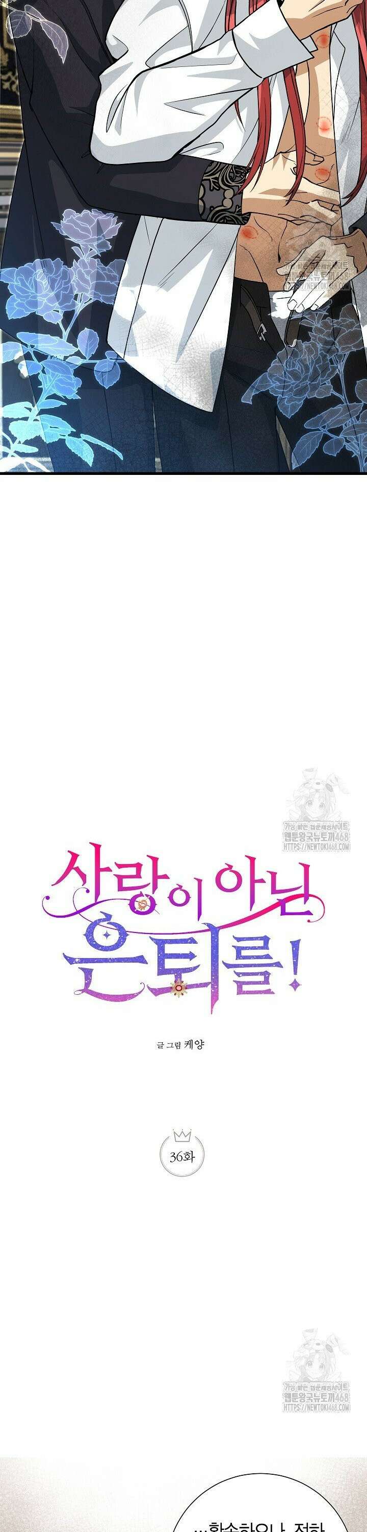 사랑이 아닌 은퇴를 36화 3