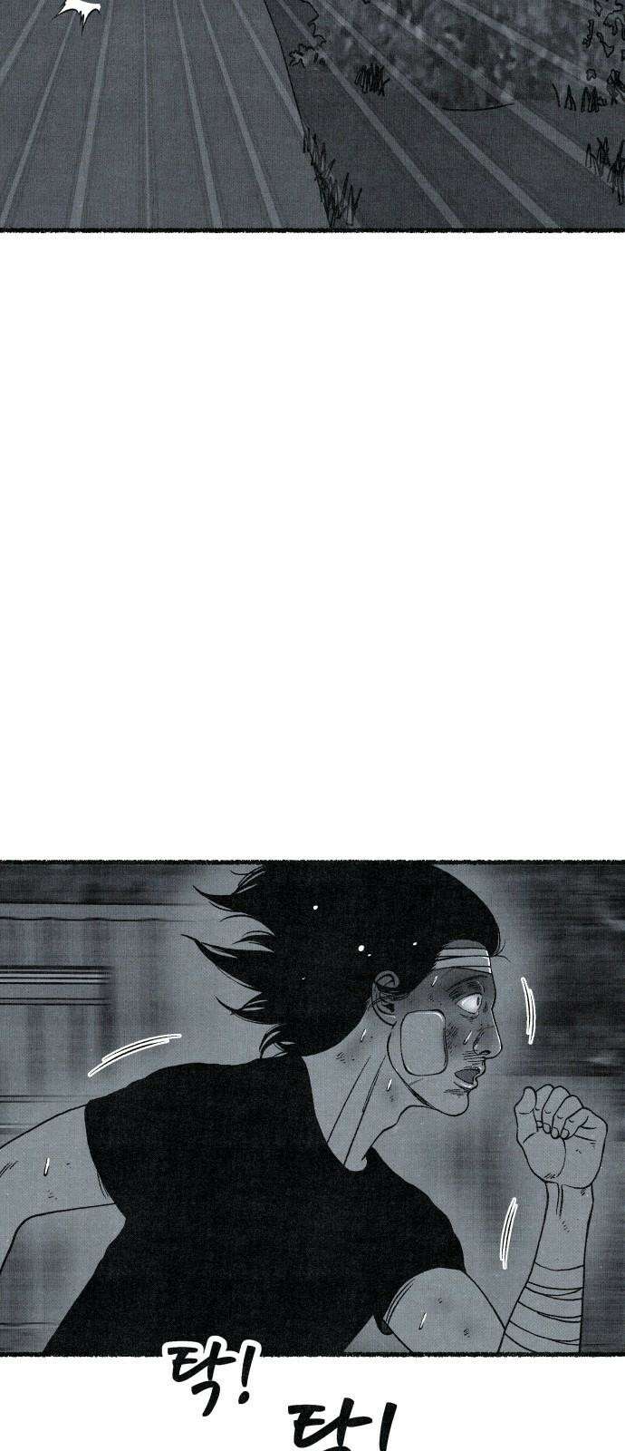 벌집 63화 62
