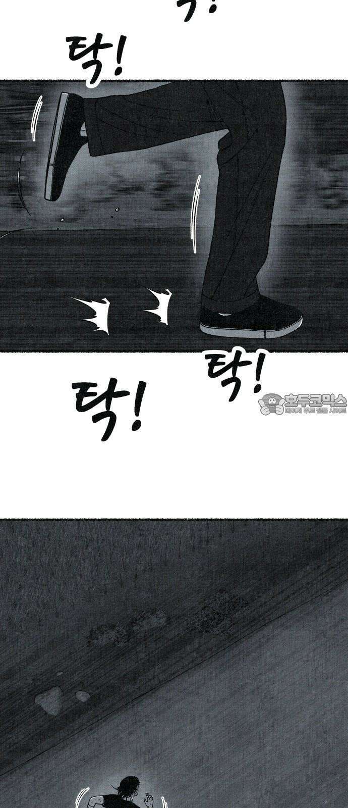 벌집 63화 63