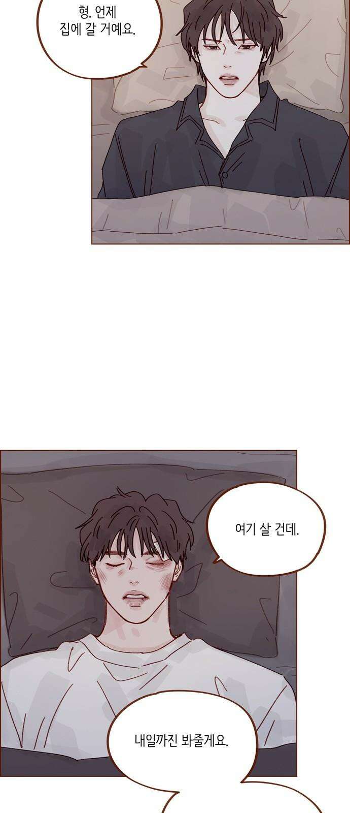 홍시는 날 좋아해! 307화 : 형이랑 저랑 안 친하잖아요 23