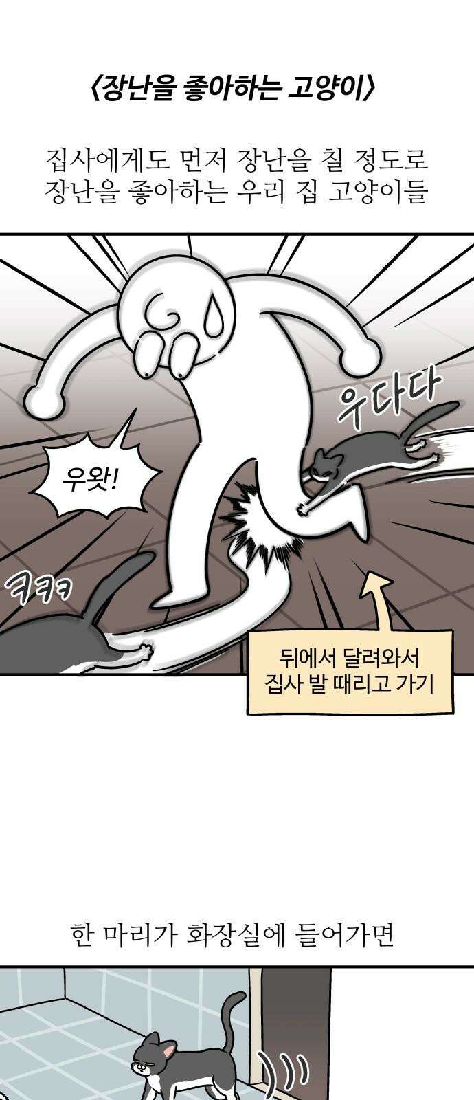 노곤하개 쇼츠 장난을 좋아하는 고양이 2