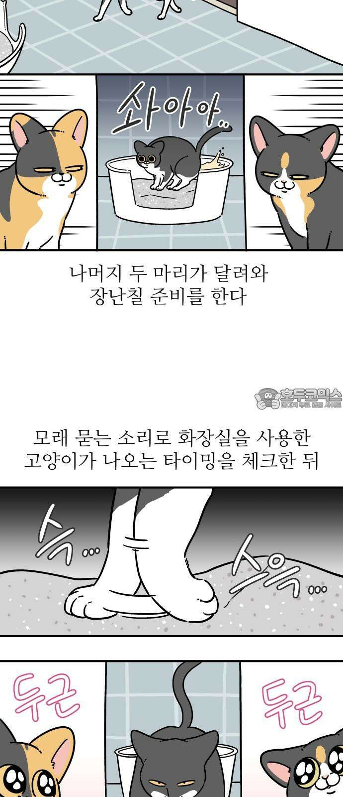 노곤하개 쇼츠 장난을 좋아하는 고양이 3