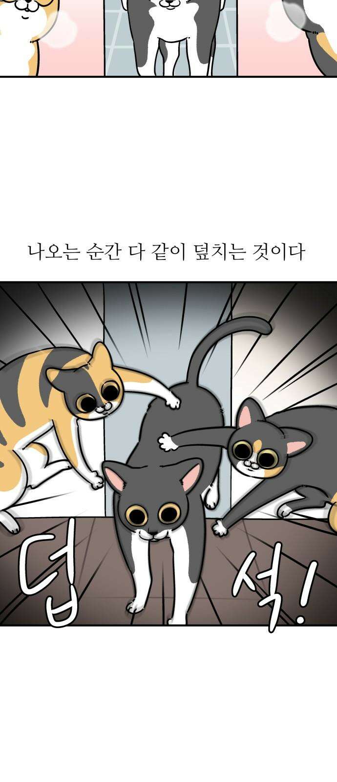노곤하개 쇼츠 장난을 좋아하는 고양이 4