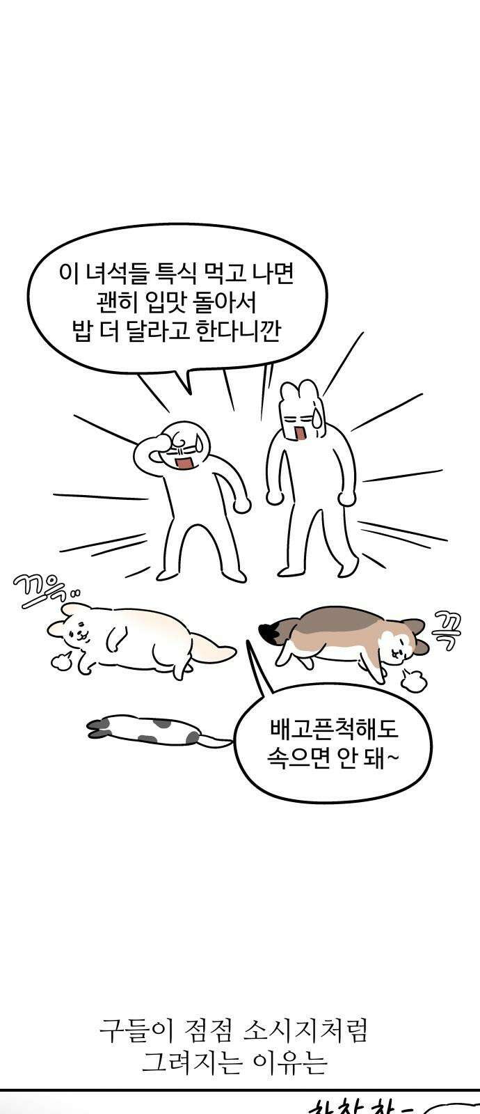 노곤하개 쇼츠 장난을 좋아하는 고양이 10