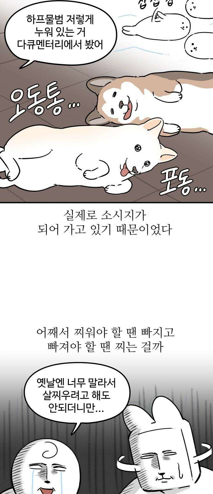 노곤하개 쇼츠 장난을 좋아하는 고양이 11