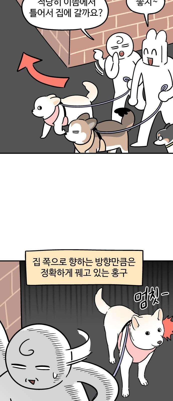 노곤하개 쇼츠 장난을 좋아하는 고양이 14
