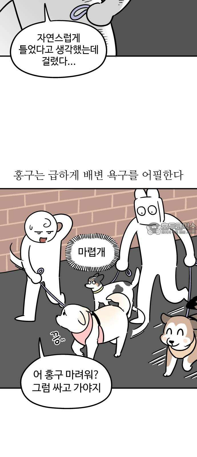 노곤하개 쇼츠 장난을 좋아하는 고양이 15