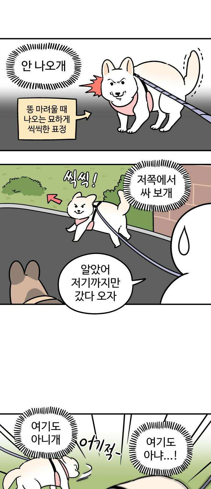 노곤하개 쇼츠 장난을 좋아하는 고양이 16