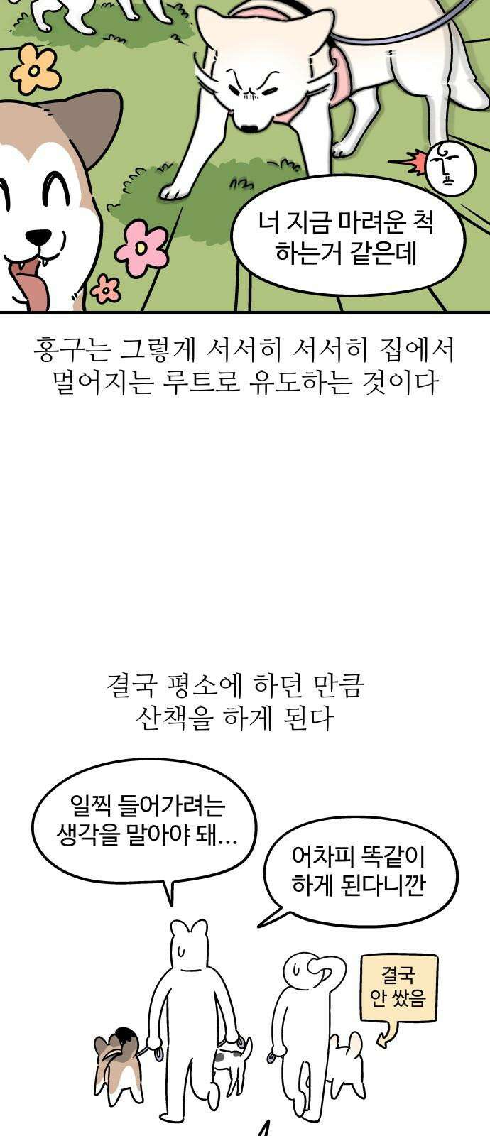노곤하개 쇼츠 장난을 좋아하는 고양이 17