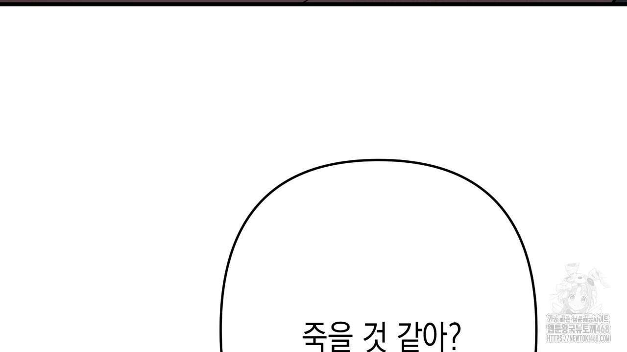 현장 검거! 41화 42