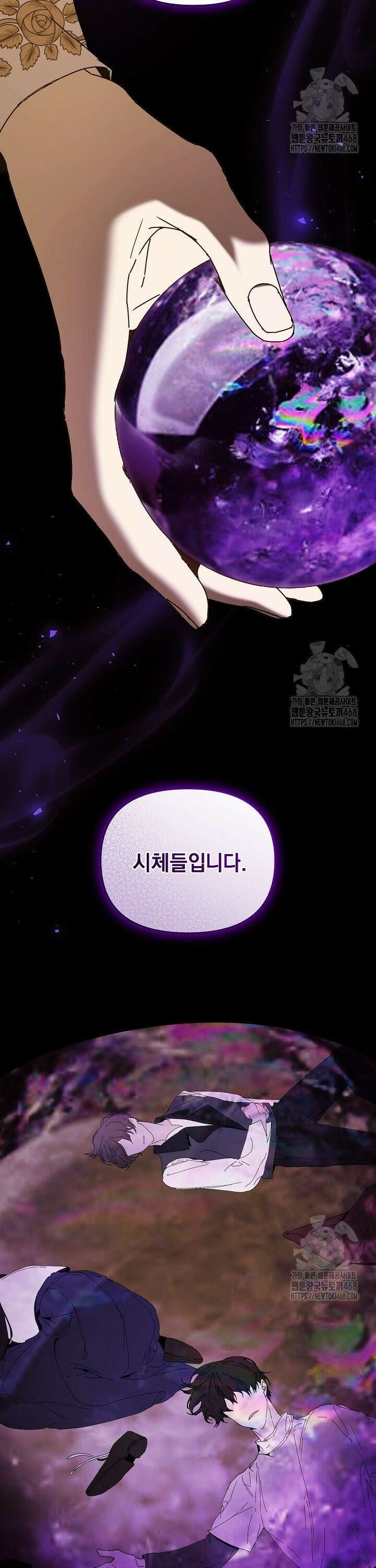 흑막 남주의 시한부 유모입니다 70화 17