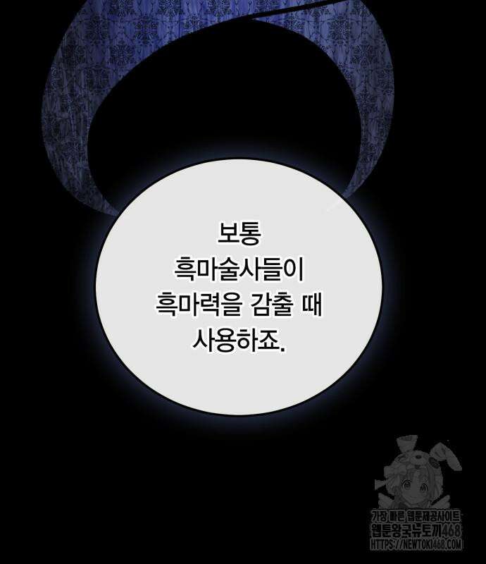 야매 힐러로 사는 법 95화 141