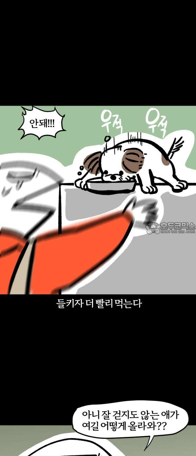 개집사 72화: 파쿠르 9