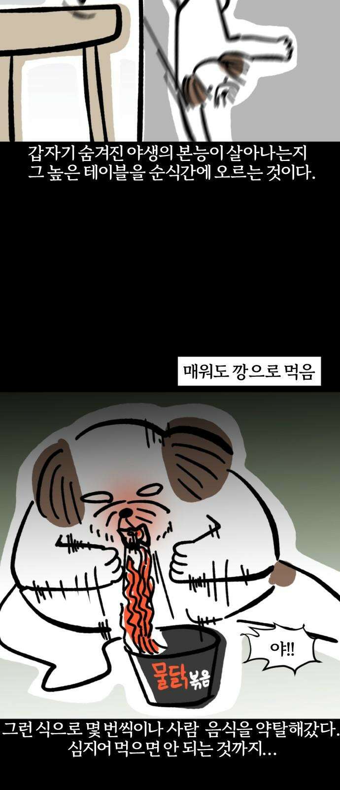개집사 72화: 파쿠르 13