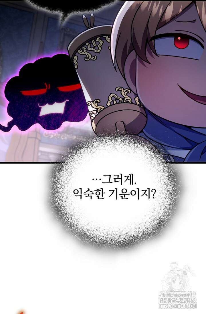 이 나라를 없앨 예정인데요 27화 25