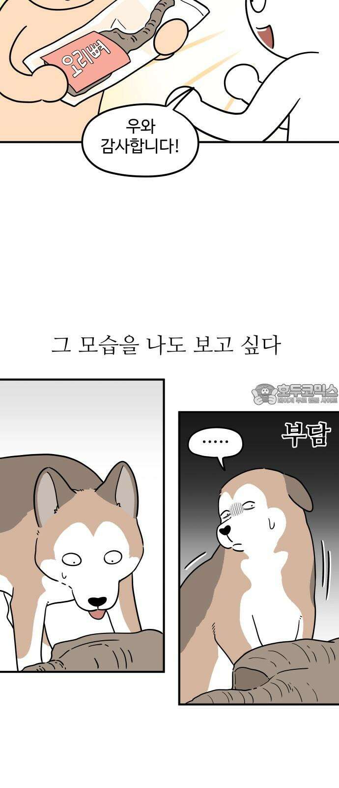 노곤하개 쇼츠 말랑구의 서열의식 12