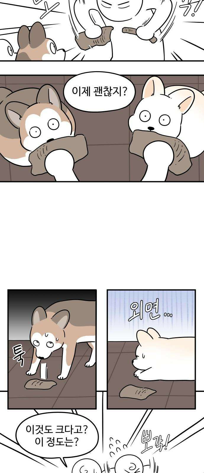 노곤하개 쇼츠 말랑구의 서열의식 14