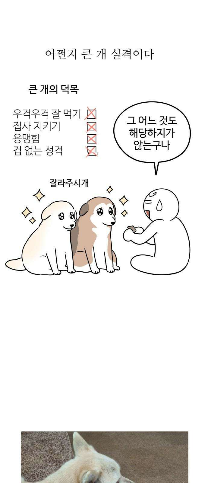 노곤하개 쇼츠 말랑구의 서열의식 16