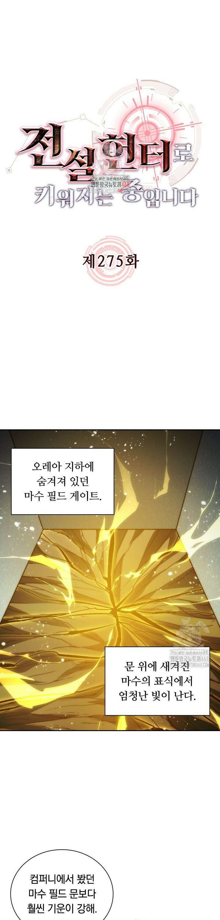 전설 헌터로 키워지는 중입니다 275화 1