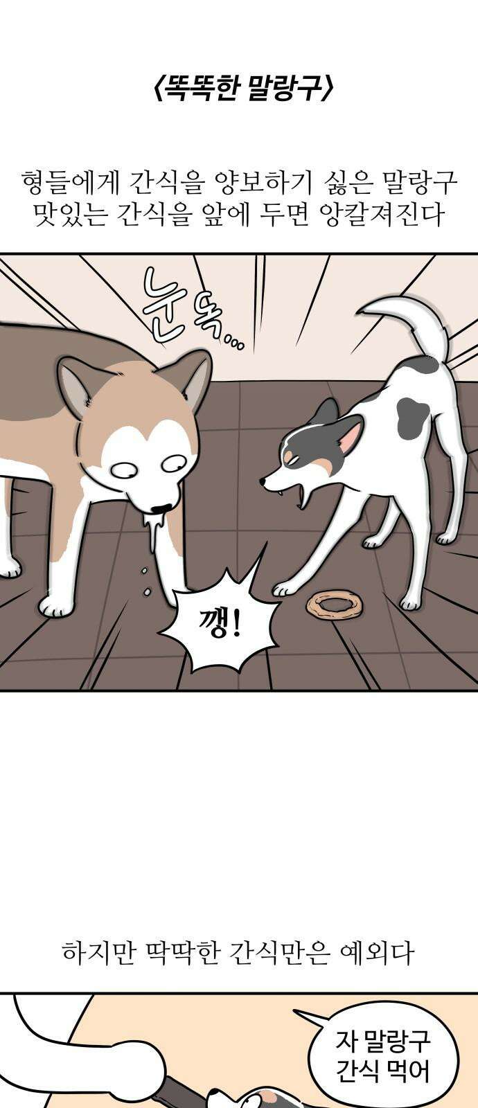 노곤하개 쇼츠 똑똑한 말랑구 2