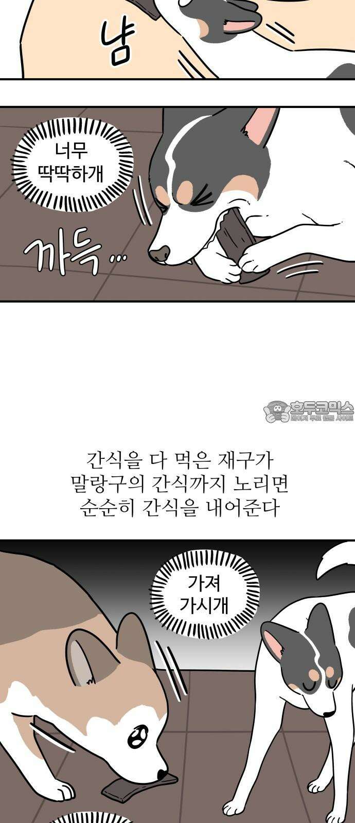 노곤하개 쇼츠 똑똑한 말랑구 3