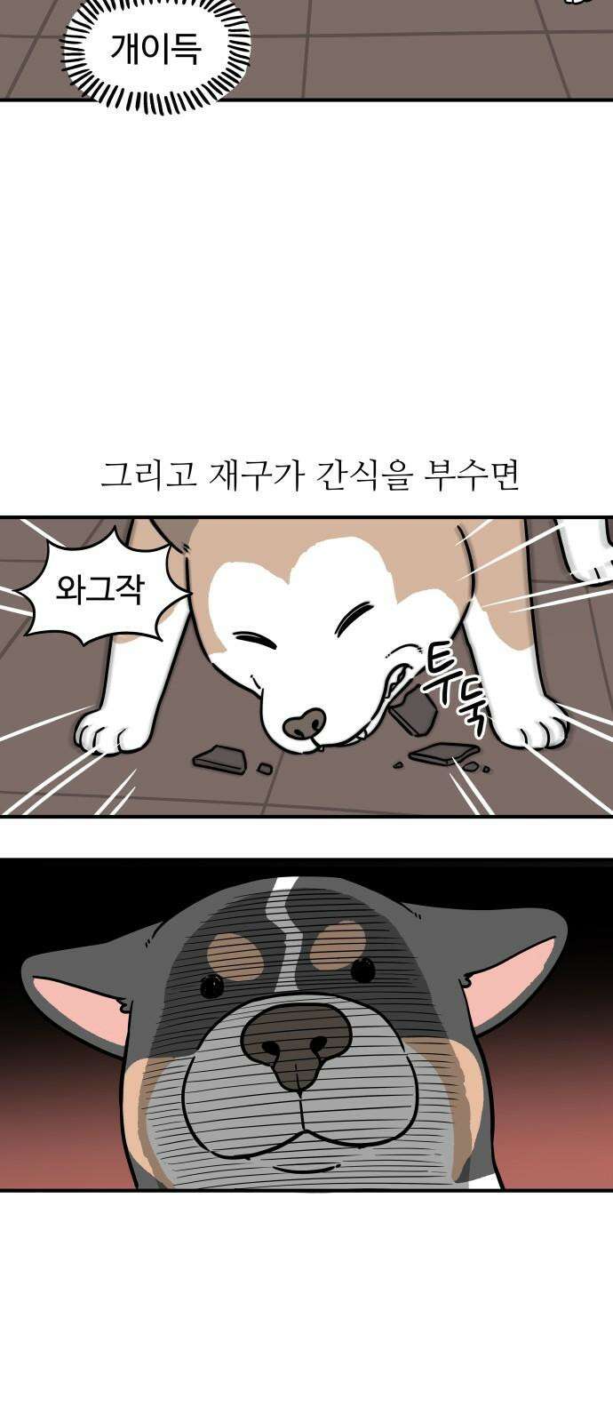 노곤하개 쇼츠 똑똑한 말랑구 4
