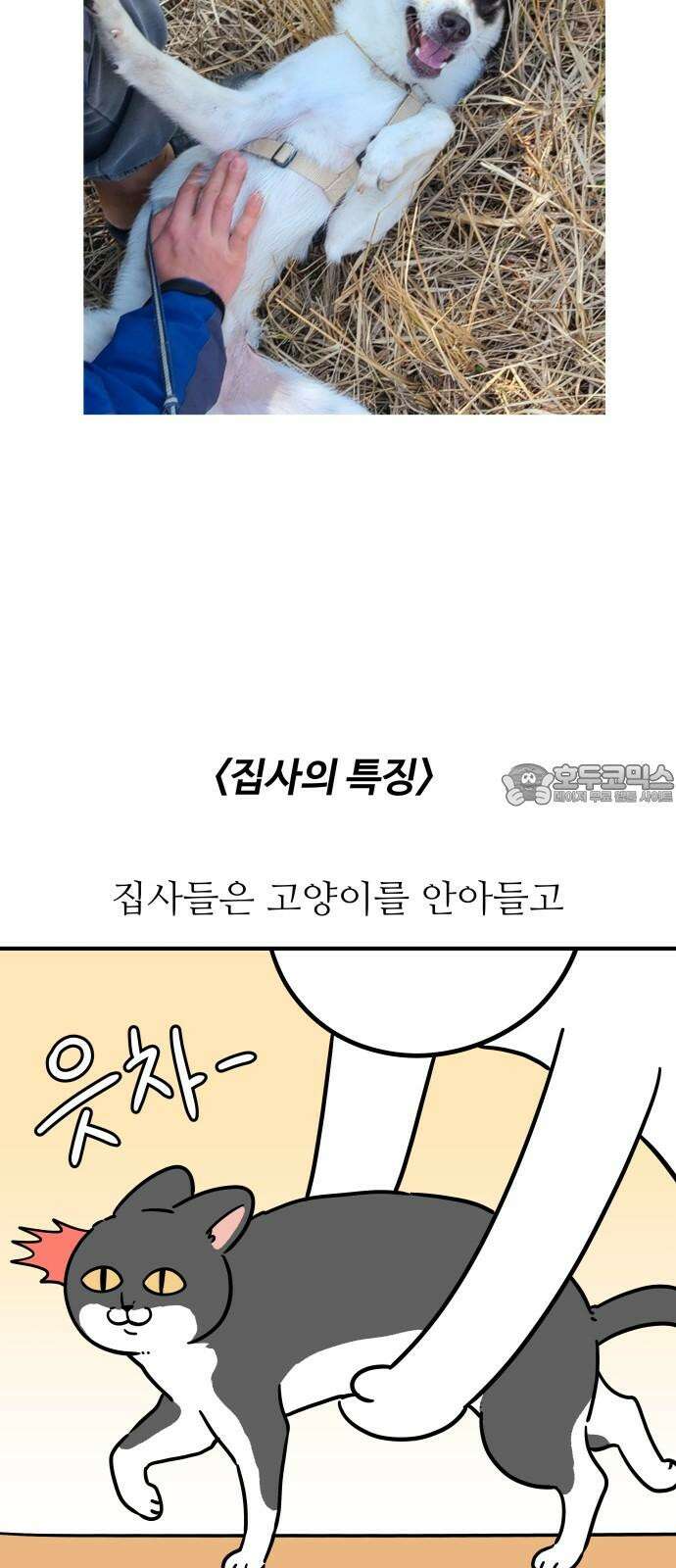 노곤하개 쇼츠 똑똑한 말랑구 6