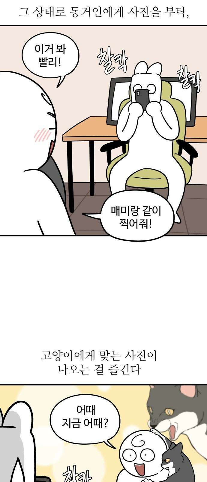 노곤하개 쇼츠 똑똑한 말랑구 8