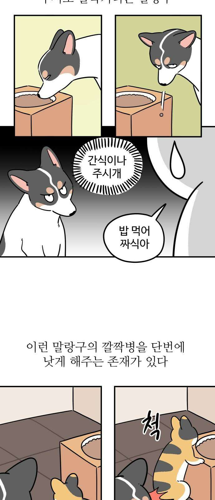 노곤하개 쇼츠 똑똑한 말랑구 11