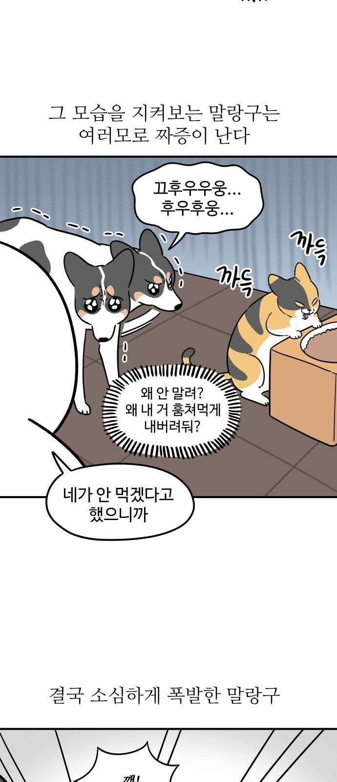 노곤하개 쇼츠 똑똑한 말랑구 13