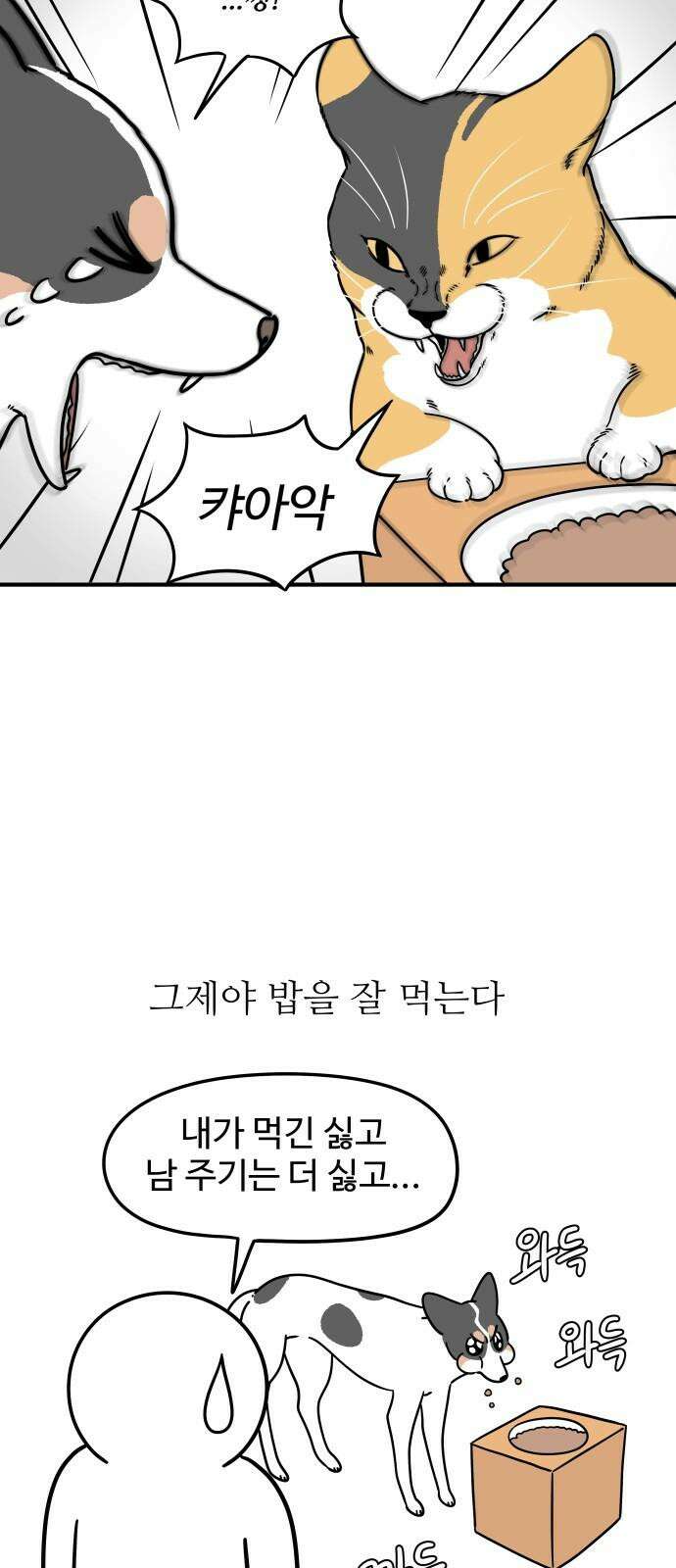 노곤하개 쇼츠 똑똑한 말랑구 14